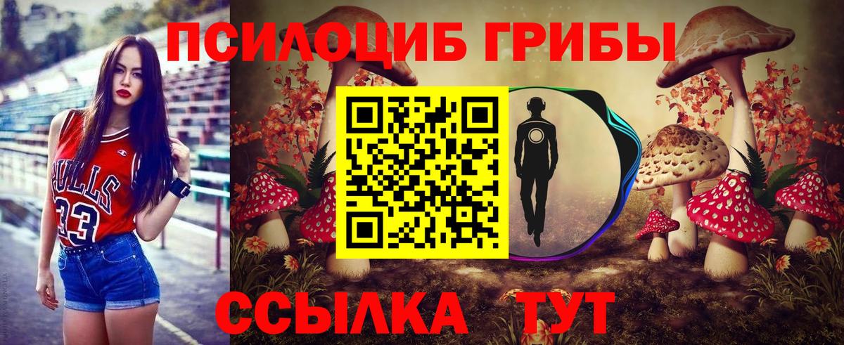 Галлюциногенные грибы Psilocybe Кимовск