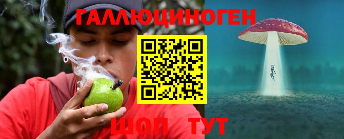 Кимовск  Псилоцибиновые грибы мицелий  Вход с VPN 